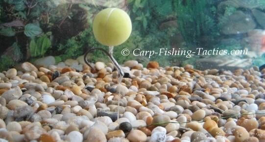 nice things  - claw-carp-fishing-rig.jpg